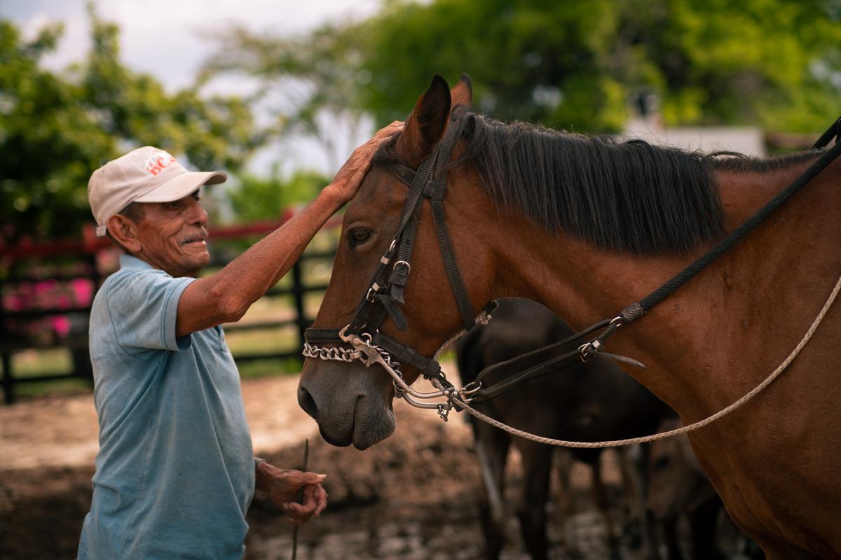 Mi caballo pechichón